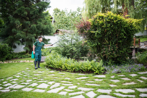 Best Ant Control Services  in Yukon, OK