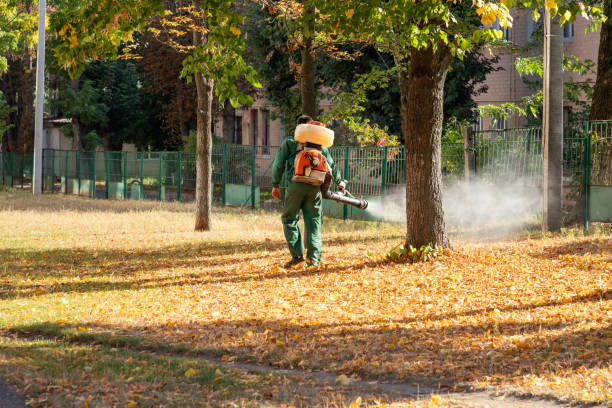 Best Wasp Removal Services  in Yukon, OK