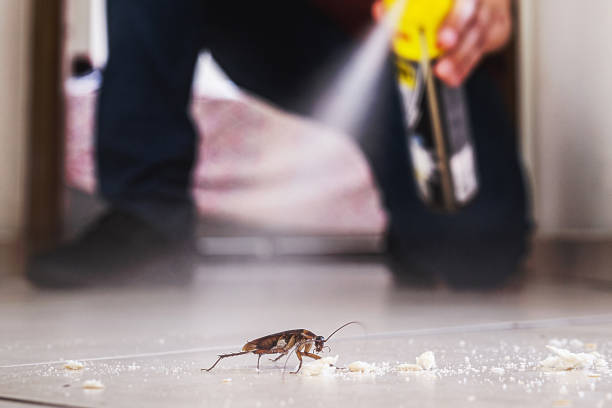 Best Mosquito Control Services  in Yukon, OK