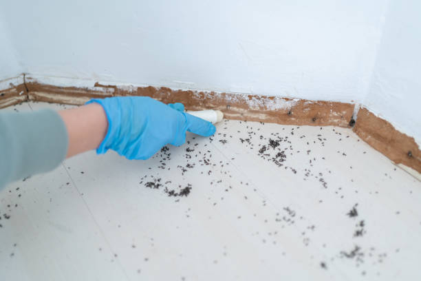 Best Affordable Pest Control Services  in Yukon, OK