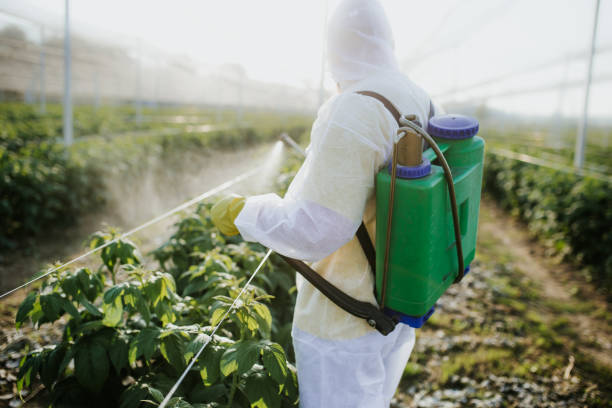 Best Best Pest Control Companies  in Yukon, OK